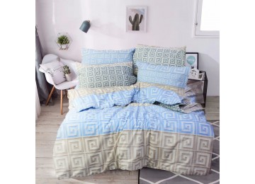 Euro bedding set coarse calico 100% cotton Т0789