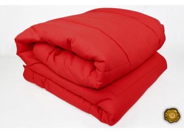 Одеяло силиконовое микрофибра 2,0 (0073) Еней-Плюс красное
