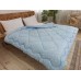 Leleka-Textile Swan's Down Blanket 200x220 T6 (Euro)