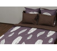 Bed linen satin "Feathers brown" code: CK0207 teenage RGTF