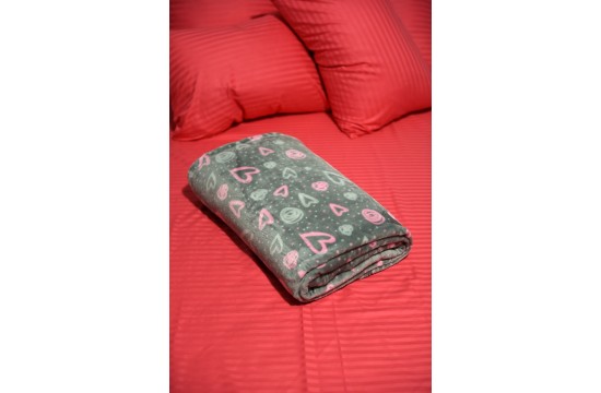 Fleece blanket "Hearts" for children 140x100 cm RGTF