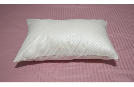 Pillow holofiber "Standard" 50x50 RGTF