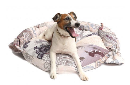 Cushion for dogs and cats "KRUG" sunbed RGTF