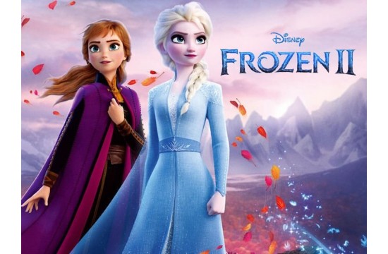 Подростковый комплект Disney TAC Disney Frozen 2 Autumn ранфорс / простынь на резинке