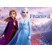 Disney TAC Teen Set Disney Frozen 2 Autumn Ranforce / Elasticated Sheet