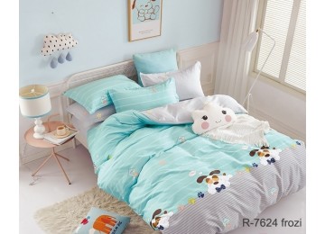 Teenage bedding with companion R7624 frozi