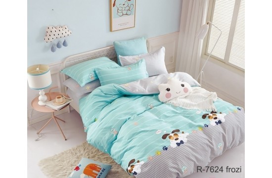 Teenage bedding with companion R7624 frozi