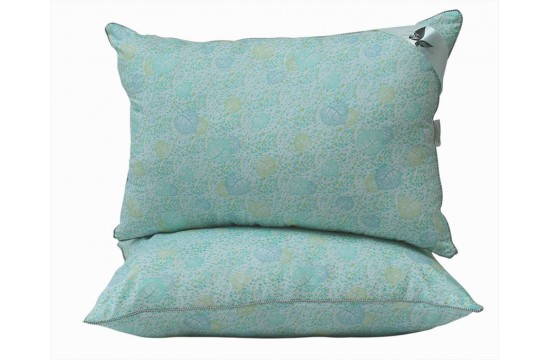 Set quilt swan's down Listok 2-sp. + 2 pillows 70x70