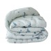 Set of blanket swan's down Feather 1.5-sp. + 2 pillows 70x70