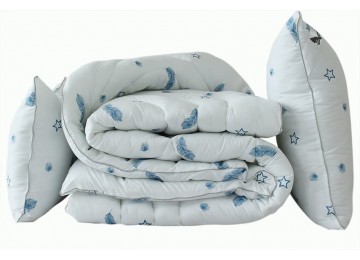 Blanket set swan's down Feather 2-sp. + 2 pillows 50x70