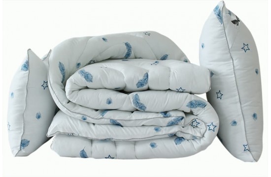 Blanket set swan's down Feather 2-sp. + 2 pillows 50x70