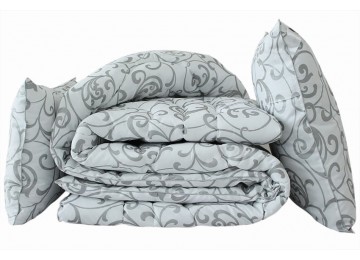 Set of swan's down duvet "Venzel" euro + 2 pillows 70x70