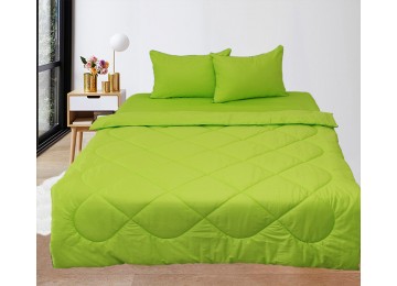 Set Summer Blanket + Pillowcases + Sheet Elegant Double Green