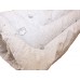 Blanket "Eco-cotton" 2-sp. + 2 pillows 50х70 Tag textiles