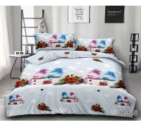 New Year's bed linen ranforce double with companion R845