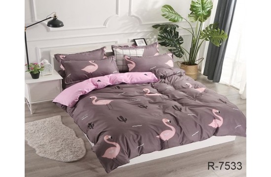 Bed linen ranforce with companion R7533 one and a half tm Tag textil