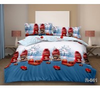 New Year's bed linen euro ranforce with companion R841