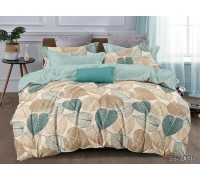 Комплект постельного белья двуспальный ранфорс с компаньоном R1005 Таг текстиль