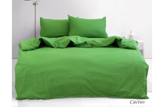 Комплект постельного белья евро ранфорс Cactus