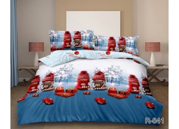 New Year's bed linen ranforce double with companion R841