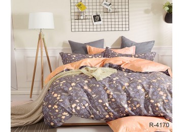 Двоспальний комплект постільної білизни ранфорс з компаньйоном R4170 Таг текстиль