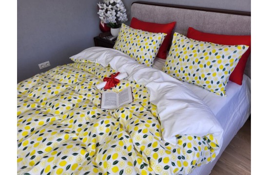 LEMONS, Turkish flannel euro sheet set with elastic